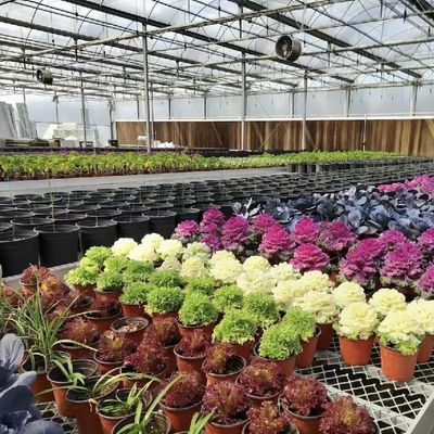 US 20/vierkante meter glazen dak Hydroponische kas voor bloemkwekingsmateriaal