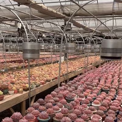 Glas kas hydroponics systeem voor bloemen groeien een type dak op maat verzoek
