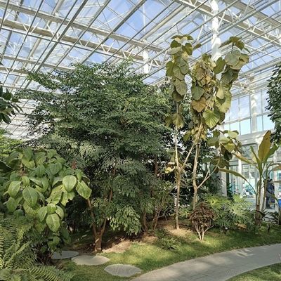 Glas kas hydroponics systeem voor bloemen groeien een type dak op maat verzoek