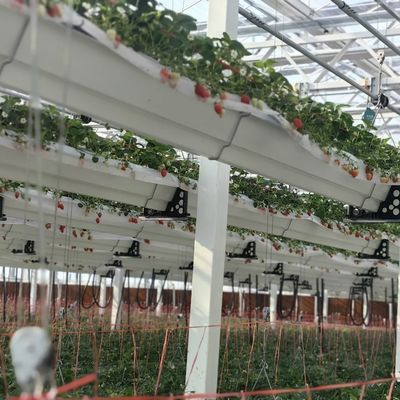 Glas kas hydroponics systeem voor bloemen groeien een type dak op maat verzoek
