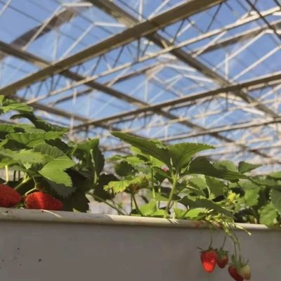 Glas kas hydroponics systeem voor bloemen groeien een type dak op maat verzoek