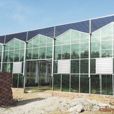 Multi-Span Hollow Roof Glass Greenhouse voor het kweken van bloemen US 20/square meter Monsters