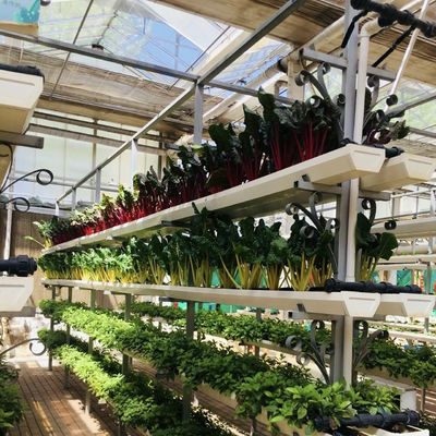 Multi-Span Hollow Roof Glass Greenhouse voor het kweken van bloemen US 20/square meter Monsters