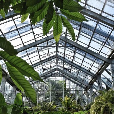 Hydroponisch bloesemsysteem in staalstructuur Float Glass Greenhouse met aanpassing