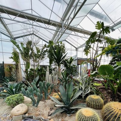 Hydroponisch bloesemsysteem in staalstructuur Float Glass Greenhouse met aanpassing