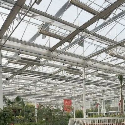 Glaskas voor bloemenverbouwing Pakket Brutogewicht 100.000 kg en een daktype