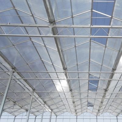 Stalen structuur Glaskas voor bloemen Sterke en stevige constructie