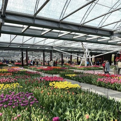 Multi-systeem glazen kas voor bloemen Aanpassing op uw specificaties