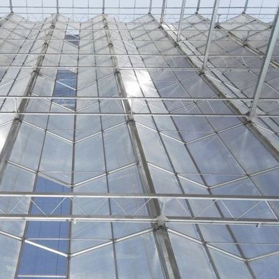 Glasdak kas voor het kweken van bloemen Aanvankelijke betaling en betaalbare verzendkosten