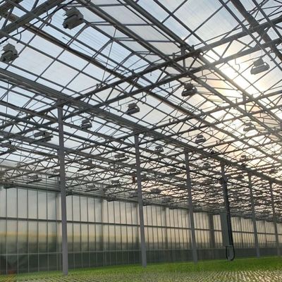 Hoge lichttransmissie glas commerciële kas hydroponische installatie voor volledige betaling