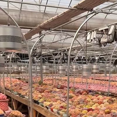 Float glas kas voor groenten Multi Span ontwerp Op maat gemaakte aanvraag aanvaard