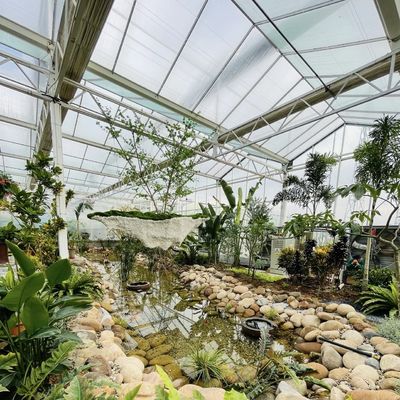 Float glas kas voor groenten Multi Span ontwerp Op maat gemaakte aanvraag aanvaard