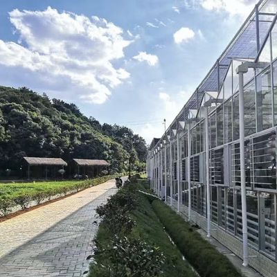 Float glas kas voor groenten Multi Span ontwerp Op maat gemaakte aanvraag aanvaard