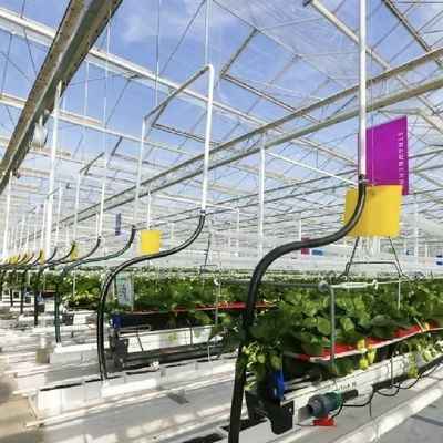 Grote schaduwscherm glas kas hydroponisch systeem voor optimale teelt