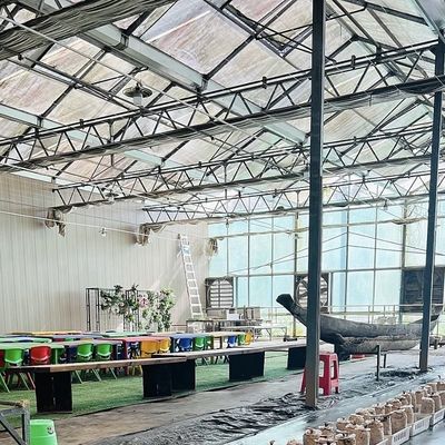Eerste betaling Chinese oorsprong Glaskas met hydroponisch systeem Multi Span