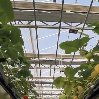 Glaskasten met hydroponische groenteninstallatie Verzendkosten en geschatte levertijd