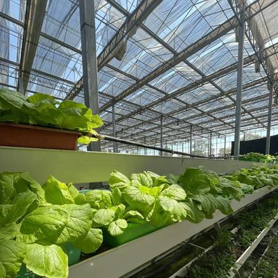 Glasbedekte hydroponische groentenkas met schaduwdoek en staalstructuur