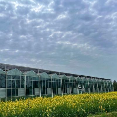 Een slanke glazen kas met hydroponische groenteninstallatie verbetert de efficiëntie van uw landbouw