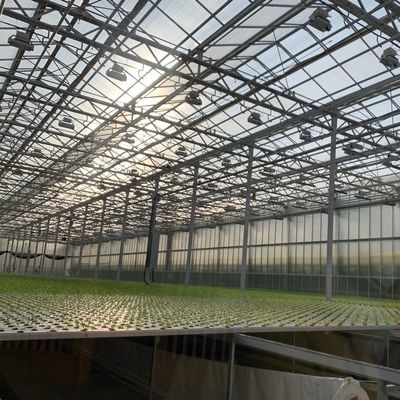 Een slanke glazen kas met hydroponische groenteninstallatie verbetert de efficiëntie van uw landbouw