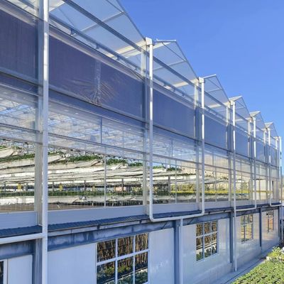 Een slanke glazen kas met hydroponische groenteninstallatie verbetert de efficiëntie van uw landbouw