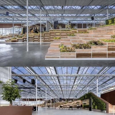 Grote en multifunctionele glazen kas met staalconstructie