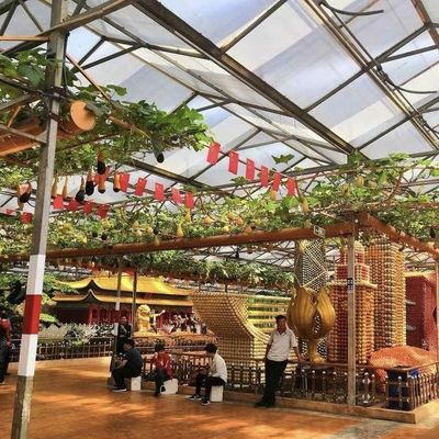 Glas Groenhuis Deksel Eénlaag Hydroponisch Systeem Voor Groenhuis