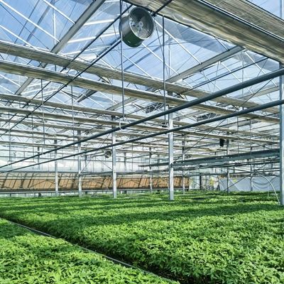 Een redelijk geprijsd glazen kas hydroponisch systeem voor maximaal ruimtegebruik