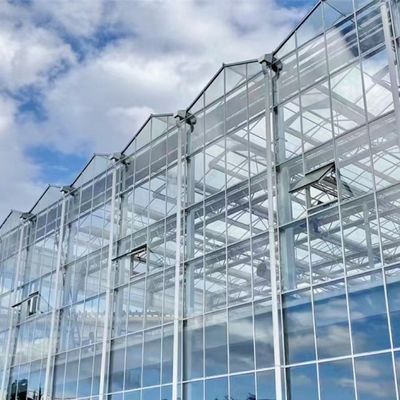 80.000kg brutogewicht Doppellagig glas kas Hydroponisch voor groentenverbouwing