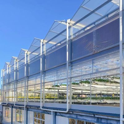 Glaskasten hydroponisch plantaardig systeem voor maximaal waterverbruik