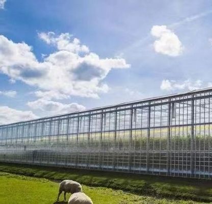 Hydroponics glazen kas met schaduwscherm systeem Pakket Bruto gewicht 80.000kg