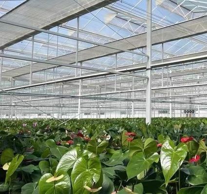 Hydroponics glazen kas met schaduwscherm systeem Pakket Bruto gewicht 80.000kg