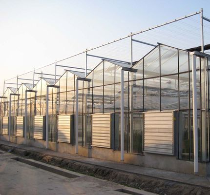 Hydroponics glazen kas met schaduwscherm systeem Pakket Bruto gewicht 80.000kg
