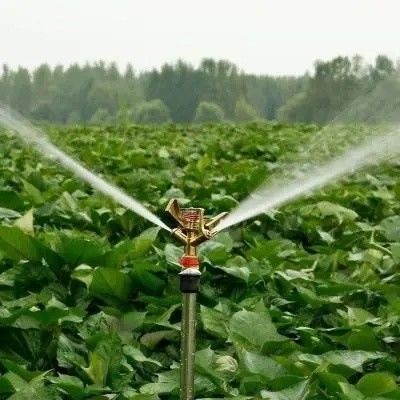 Hydroponics glazen kas met schaduwscherm systeem Pakket Bruto gewicht 80.000kg