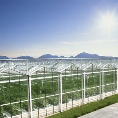 Geavanceerde hydroponische groenten in grote glazen kassen