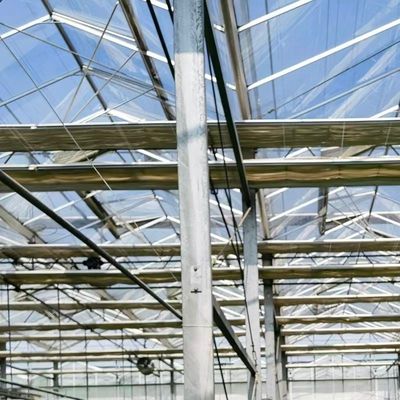 Een type dakglaskas voor hydroponische groenten Optimale groeitoestanden