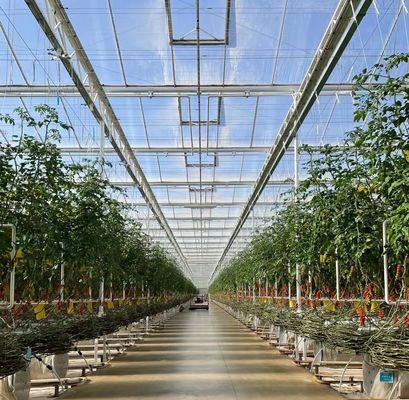 US Float Single Span Greenhouse voor groenten/fruit/bloemen en restitutie