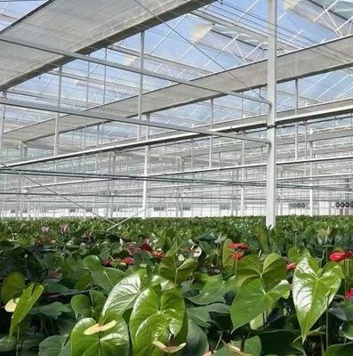 US Float Single Span Greenhouse voor groenten/fruit/bloemen en restitutie