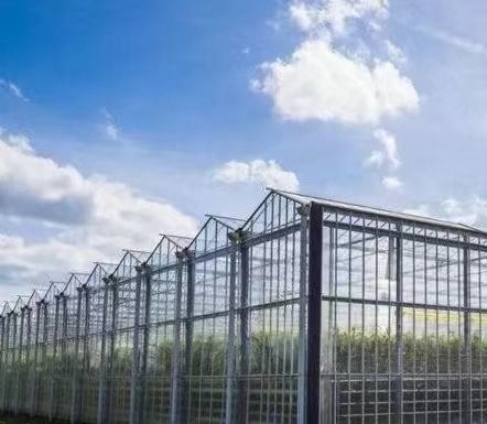 US Float Single Span Greenhouse voor groenten/fruit/bloemen en restitutie