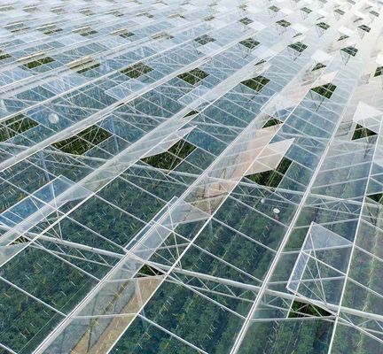US Float Single Span Greenhouse voor groenten/fruit/bloemen en restitutie