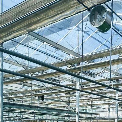 Doppellagig glas kashydroponisch systeem met integratie van multi-span technologie