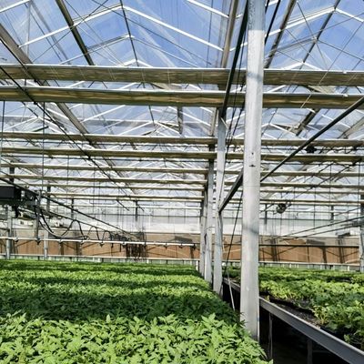Doppellagig glas kashydroponisch systeem met integratie van multi-span technologie
