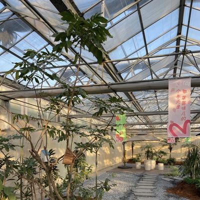 Doppellagig glas kashydroponisch systeem met integratie van multi-span technologie