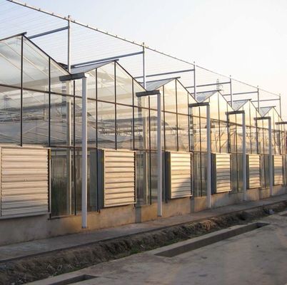 Groentenboomverbouwing Multi Shading Screen System Kas met staalconstructie