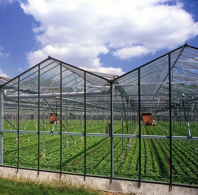 Groentenboomverbouwing Multi Shading Screen System Kas met staalconstructie