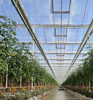Groentenboomverbouwing Multi Shading Screen System Kas met staalconstructie