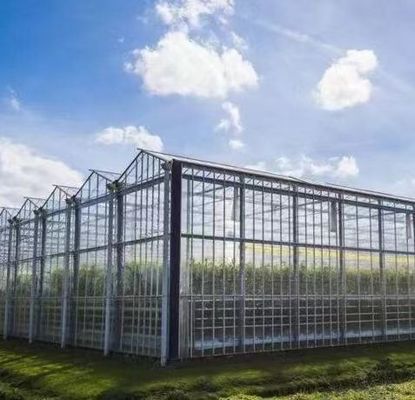 Staalstructuur Venlo Hydroponics Groei Systeem voor Hydroponic Groente Teelt