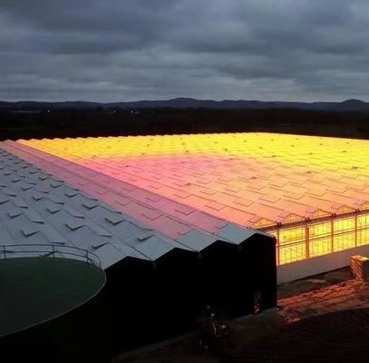 Staalstructuur Venlo Hydroponics Groei Systeem voor Hydroponic Groente Teelt
