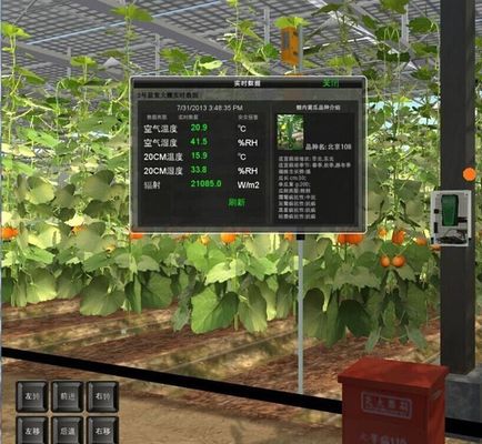 Staalstructuur Venlo Hydroponics Groei Systeem voor Hydroponic Groente Teelt
