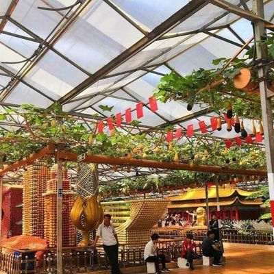Innovatief ontwerp en innovatieve hydroponische glazen kas voor de teelt van groenten