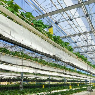 Hydroponisch groeisysteem Glaskas voor dubbellagerdakvormig dak